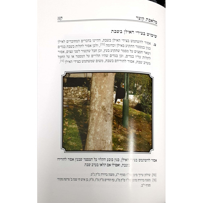 HaShabbos BeTifartah     /     השבת בתפארתה