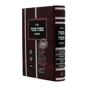 Shut Tzafnas Paneach Hachadoshos - Volume 5   /   שו"ת צפנת פענח החדשות - כרך ה