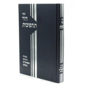 Dor Tahapuchos   /   דור תהפוכות