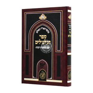 Kisvei Haari Hashalem Sefer Hagilgulim / כתבי האר"י השלם ספר הגלגולים