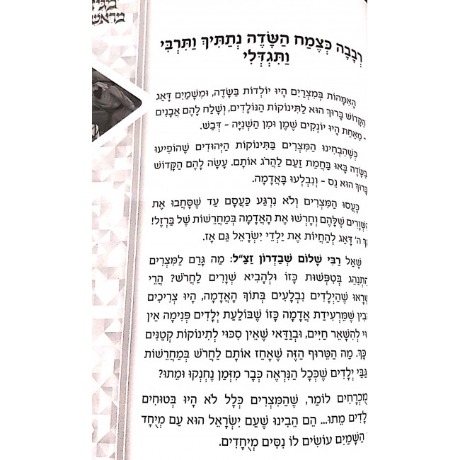 Haggadah Magid Meiraishis / הגדה מגיד מראשית Haggadah Magid Meiraishis / הגדה מגיד מראשית