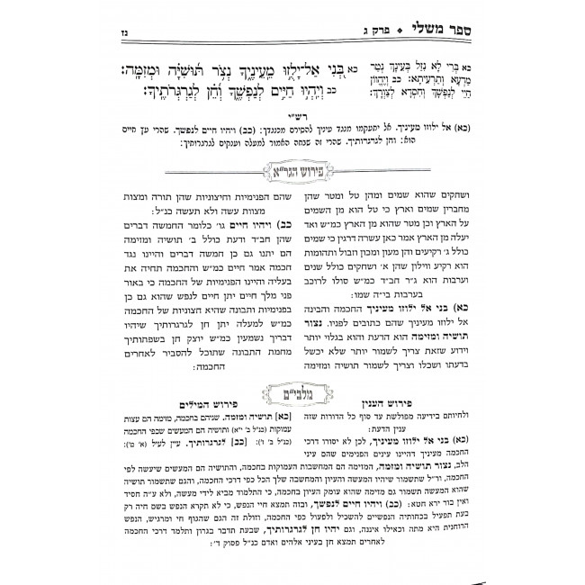 Mishlei Im Peirush HaGra U'Peirush Malbim / משלי עם פירוש הגר"א ופירוש מלבי"ם Mishlei Im Peirush HaGra U'Peirush Malbim / משלי עם פירוש הגר"א ופירוש מלבי"ם