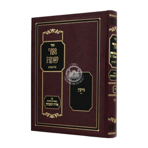 Ohr Sameach Al Harambam - Nezikin / אור שמח על הרמב"ם - נזיקין