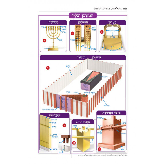 Jaffa Edition Hebrew Only Chazan Size Tanach H/C (Chazzan Size) / Jaffa Edition Hebrew Only Chazan Size Tanach H/C (Chazzan Size) /