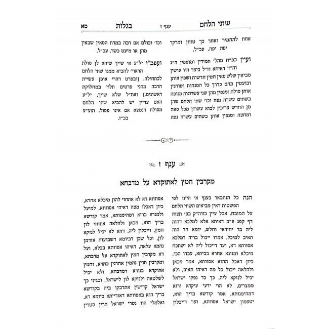 Shtei Halechem B'Galus / שתי הלחם בגלות Shtei Halechem B'Galus / שתי הלחם בגלות