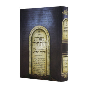 Toras Hatichyeh - Techias Hameisim  / תורת התחיה - תחיית המתים